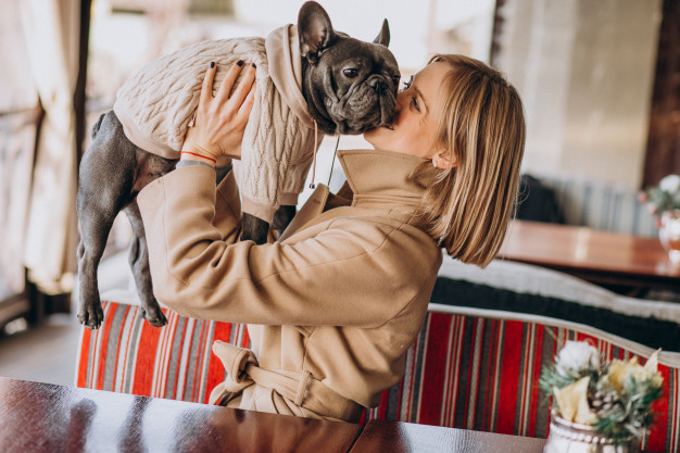 Frenchie Store Discount Code, Review & Coupon Code 2023