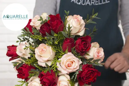 Aquarelle  Reviews