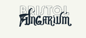 Bristol Fungarium   Are These Mushroom Supplements Worth ItReviews