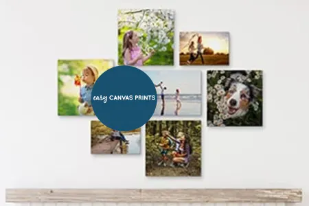 Easy Canvas Prints  Reviews