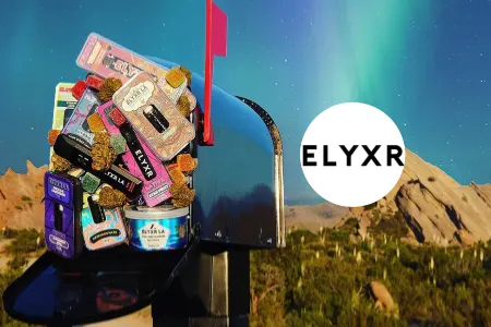 Elyxr  Reviews
