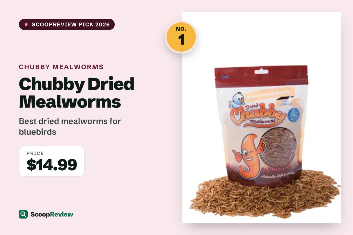 Chubby Dried Mealworms – Best dried mealworms for bluebirds