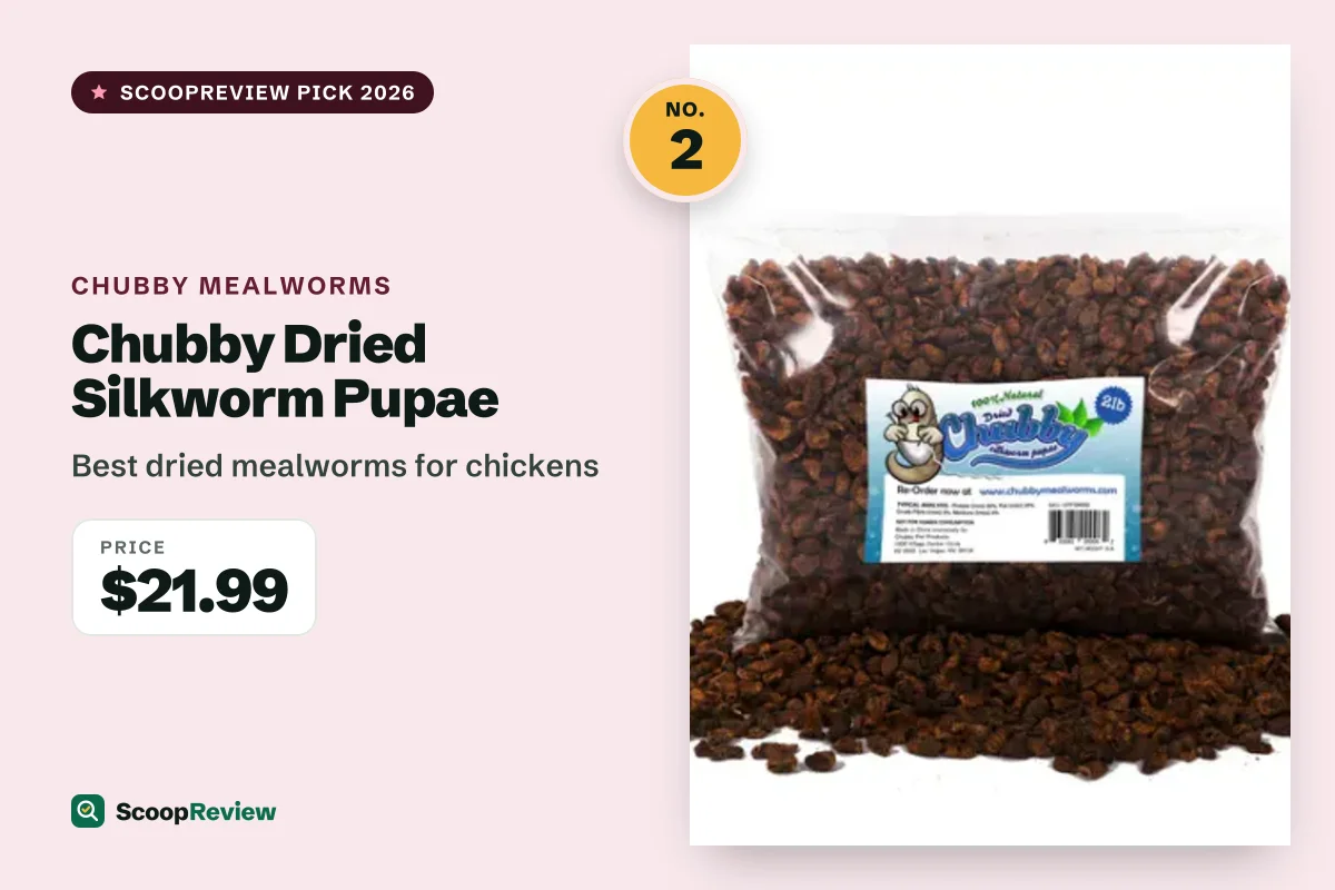Chubby Dried Silkworm Pupae – Best dried mealworms for chickens