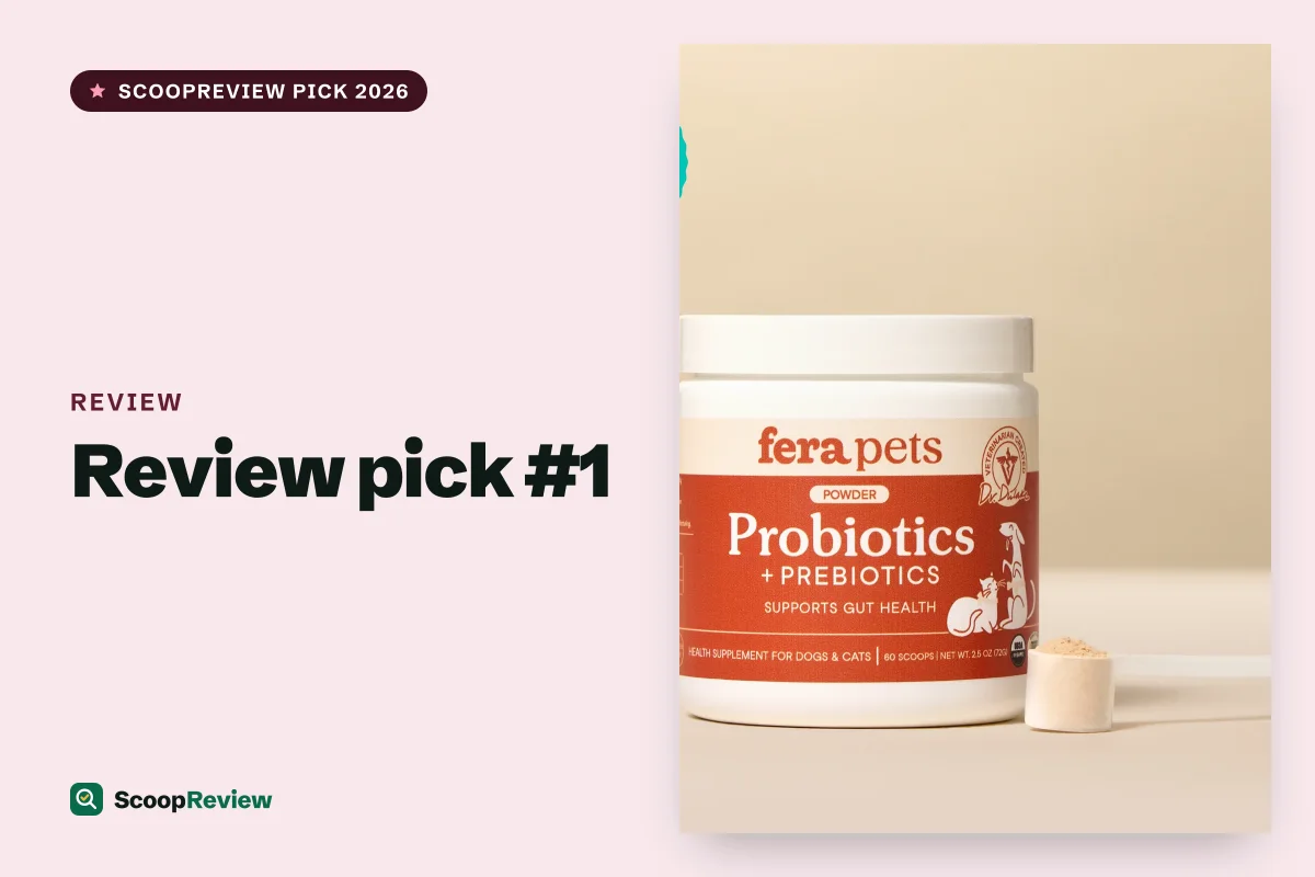 Review product 1 – Review review 2026