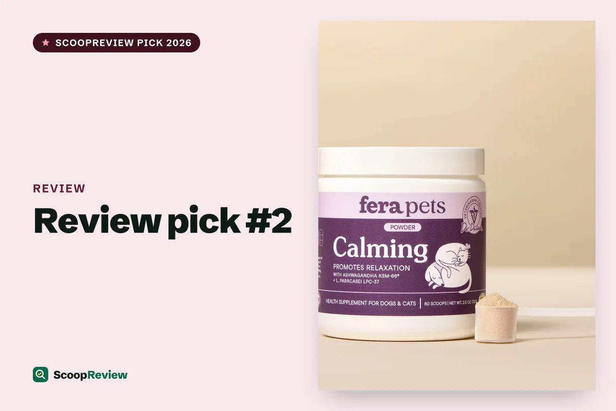 Review product 2 – Review review 2026