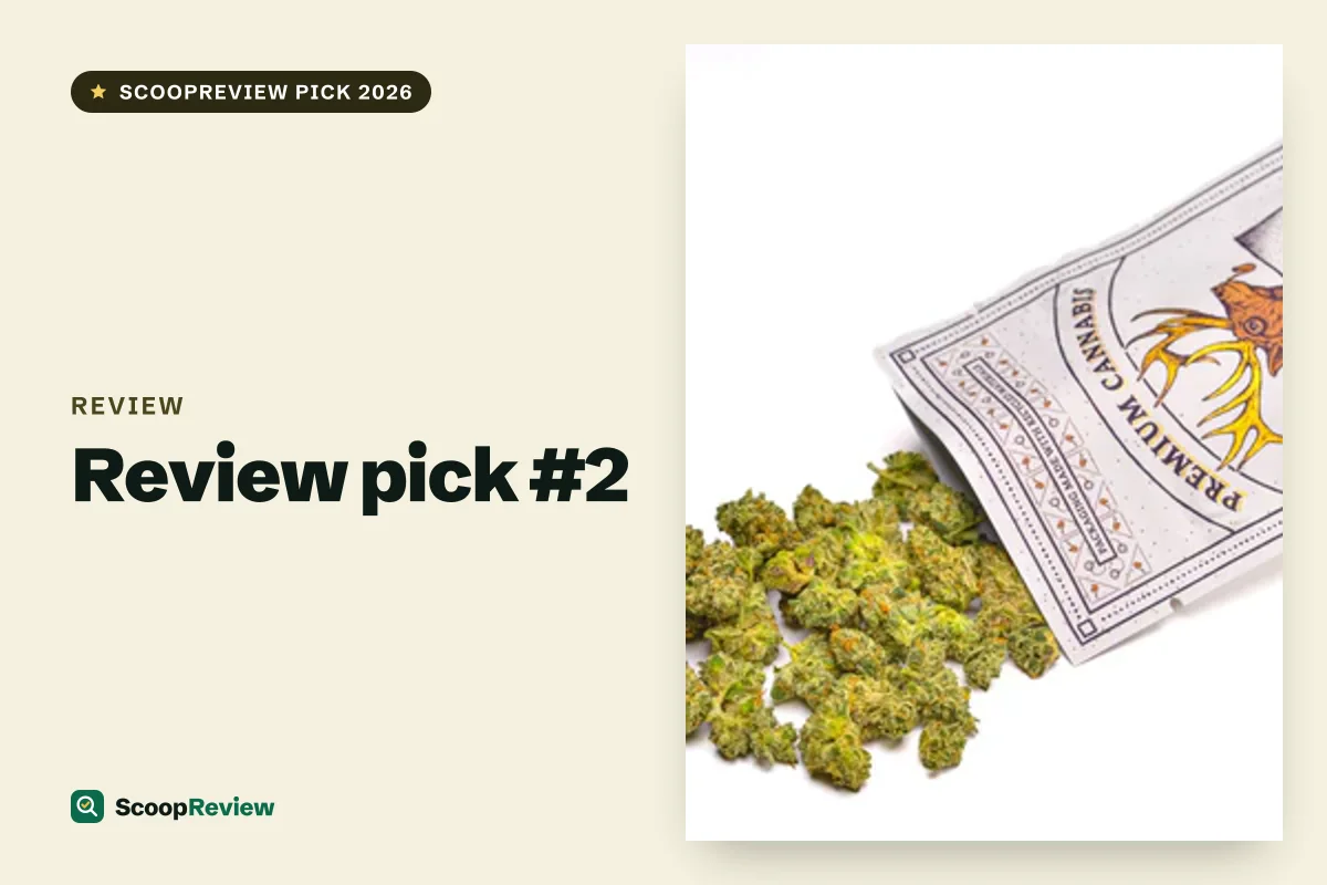 Review product 2 – Review review 2026