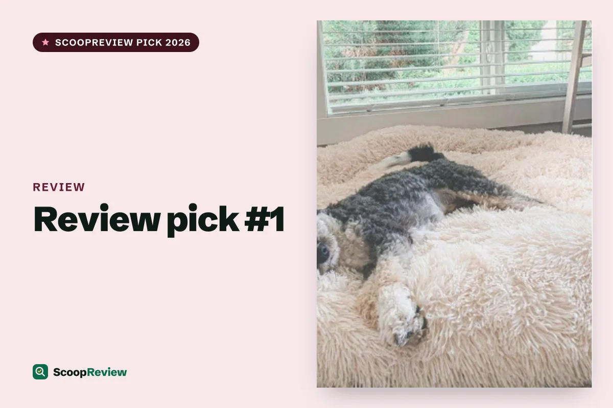 Review product 1 – Review review 2026