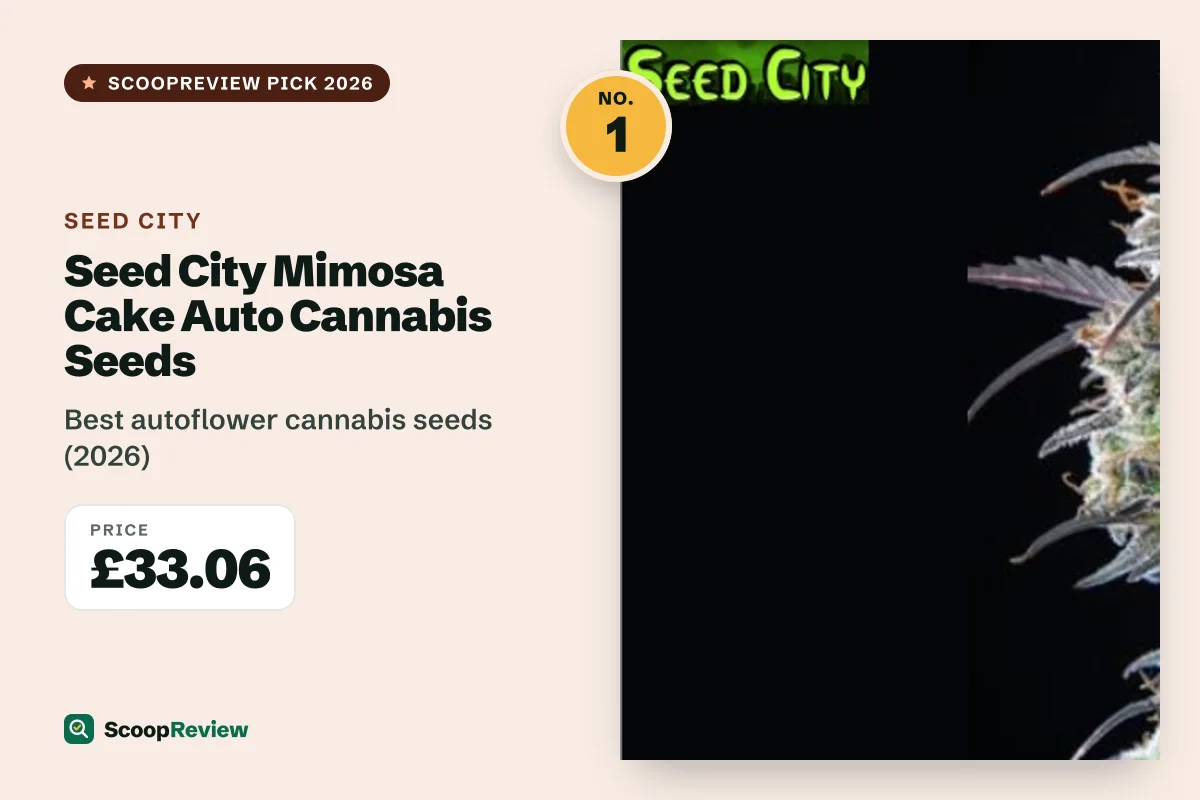 Seed City Mimosa Cake Auto Cannabis Seeds – Best autoflower cannabis seeds (2026)