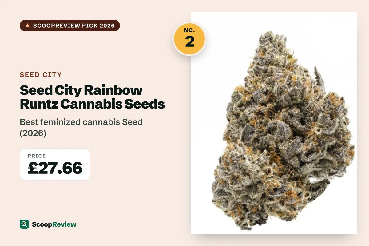 Seed City Rainbow Runtz Cannabis Seeds – Best feminized cannabis Seed (2026)