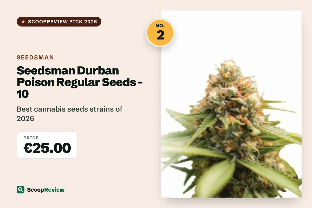 Seedsman Durban Poison Regular Seeds - 10 – Best cannabis seeds strains of 2026