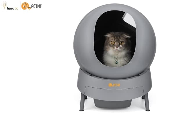 Best Automatic Litter Box For Cats 