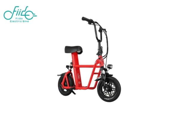 Best Cargo Electric Scooter 